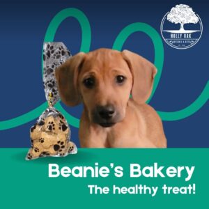 Puppy with bag of Beanie's Bakery dog treats.