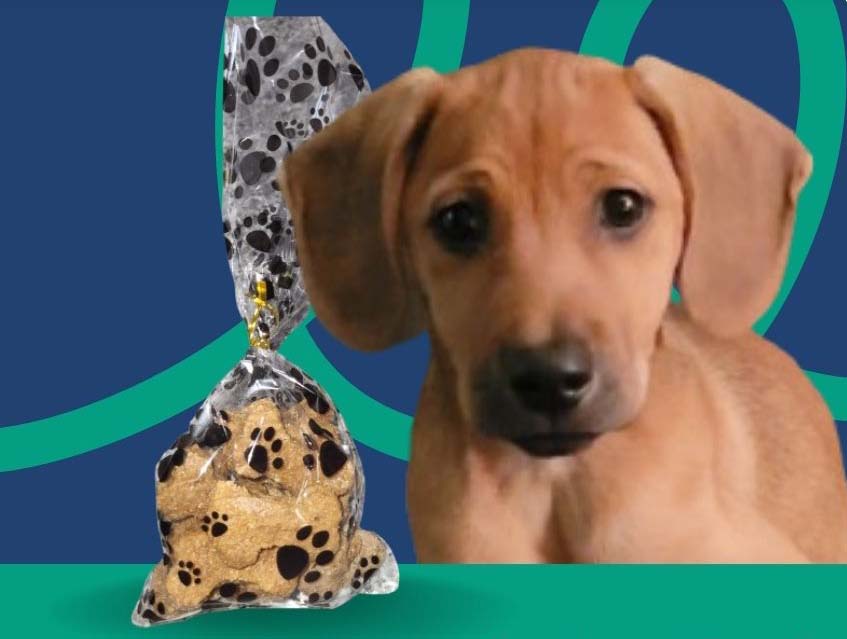 Puppy with paw print dog treats package